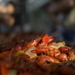 Dallas Coworking Spot CoHabitat to Host 4th Annual Crawfish Boil