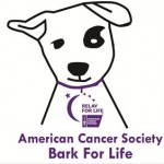 Bark for Life Raises Money for Cancer