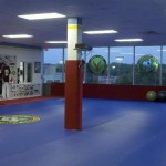 Martial Arts Academy Grand Opening in Lake Highlands