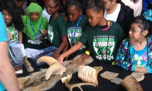 Children learning about animal artifacts at the Perot Museum. 