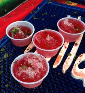 Snow Cone Margaritas...mmm.