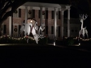 Lakewood Reindeer House